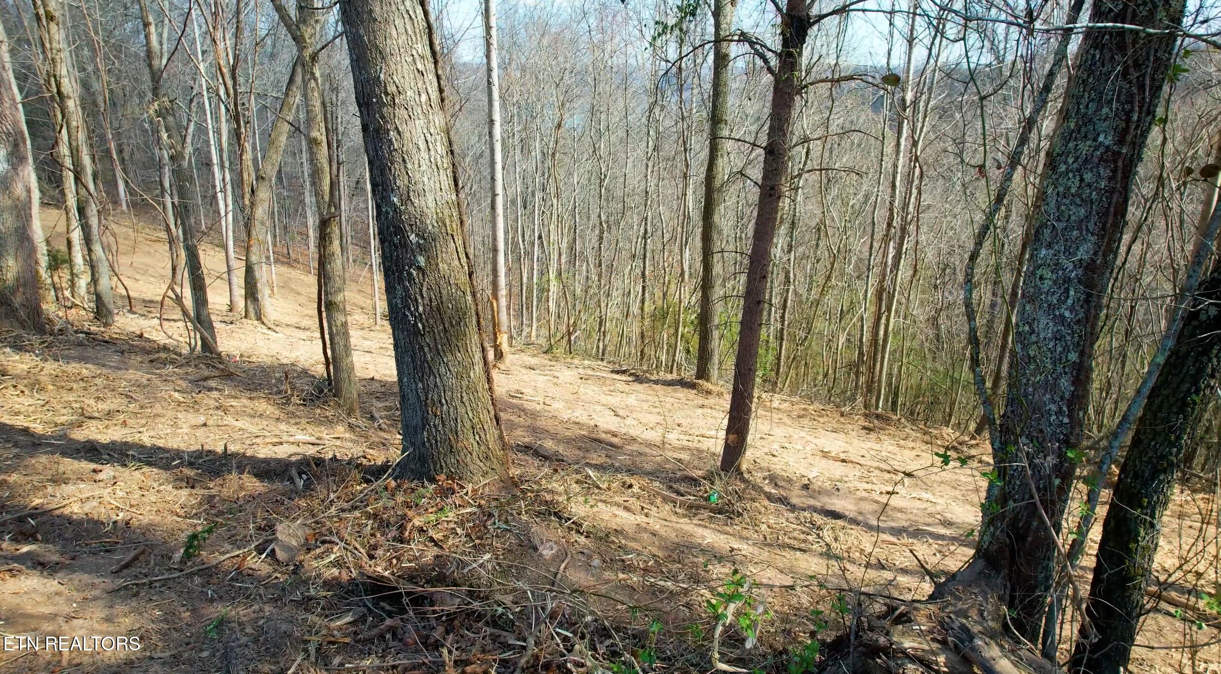 4160 Demory Road Lafollette TN 37766