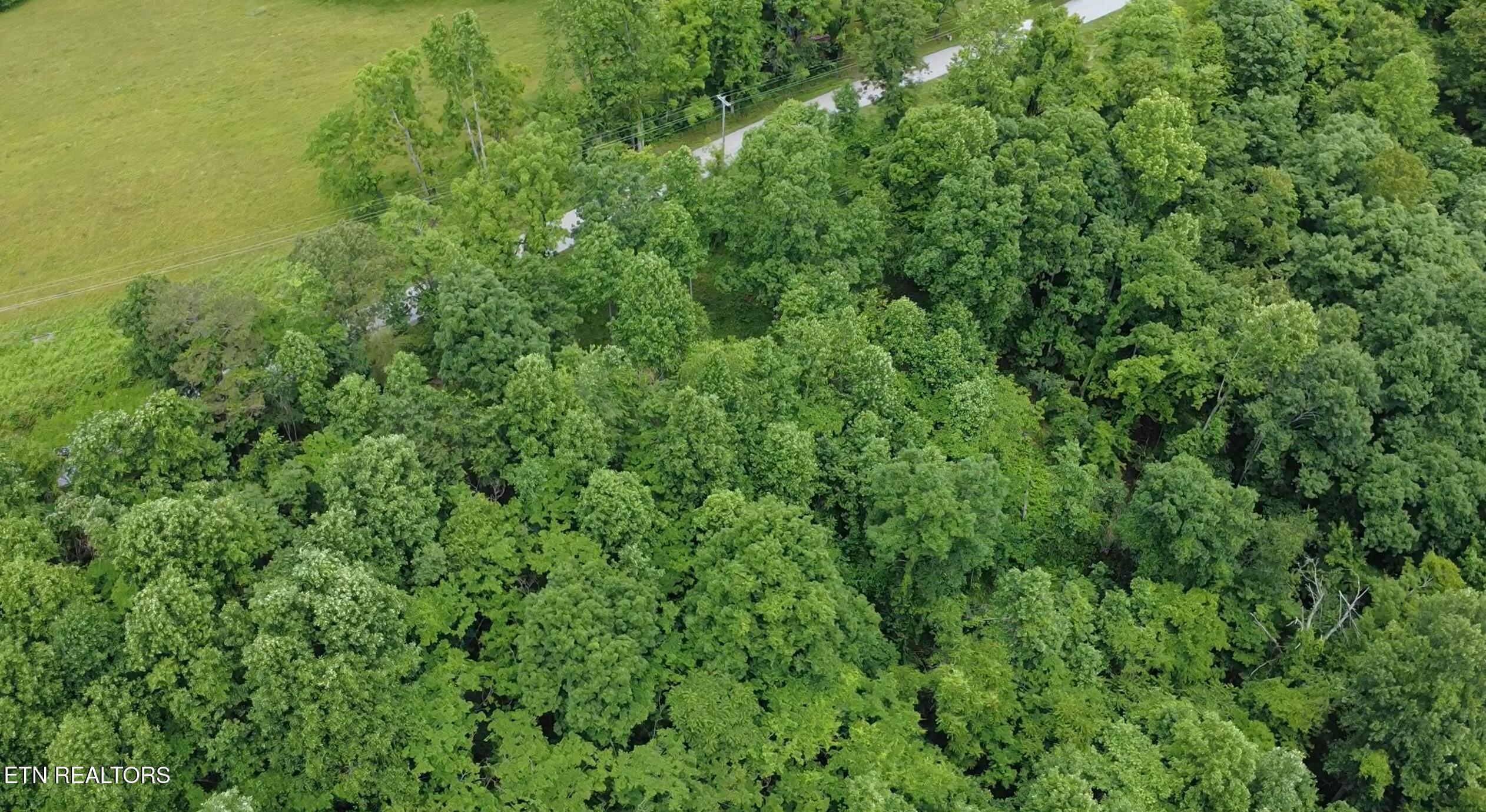 4160 Demory Road Lafollette TN 37766