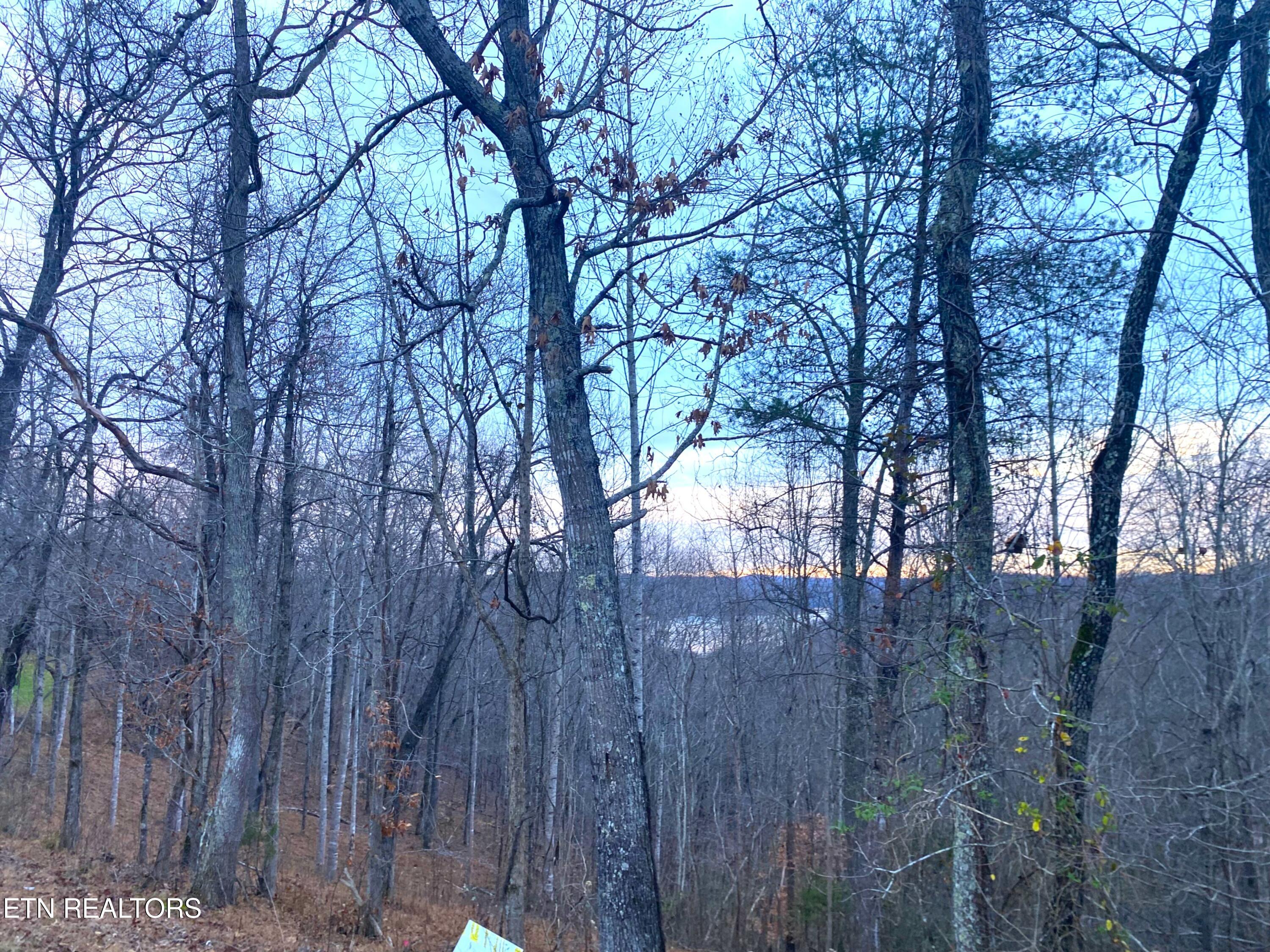 4160 Demory Road Lafollette TN 37766