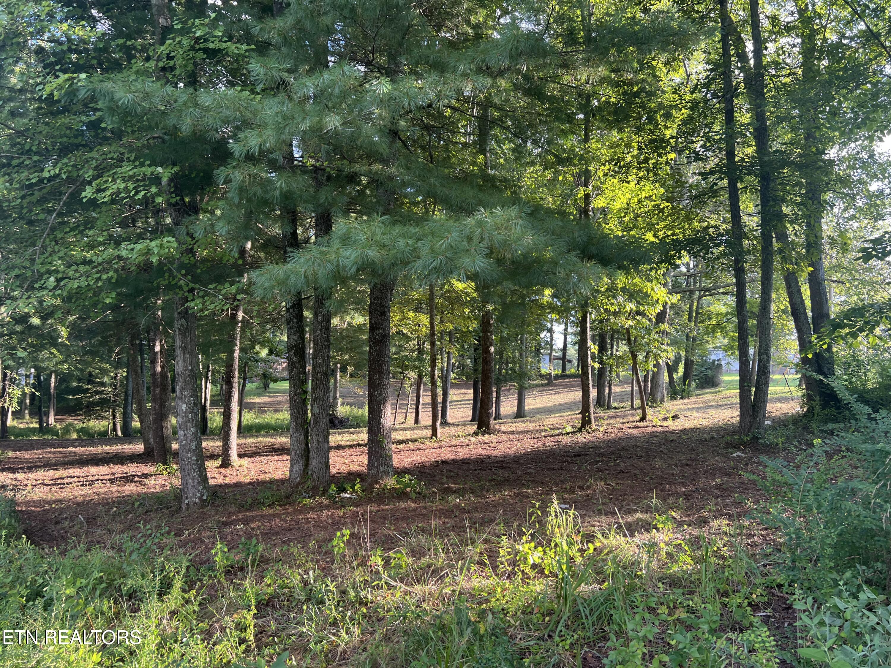 Peter Pan Avenue Crossville TN 38572