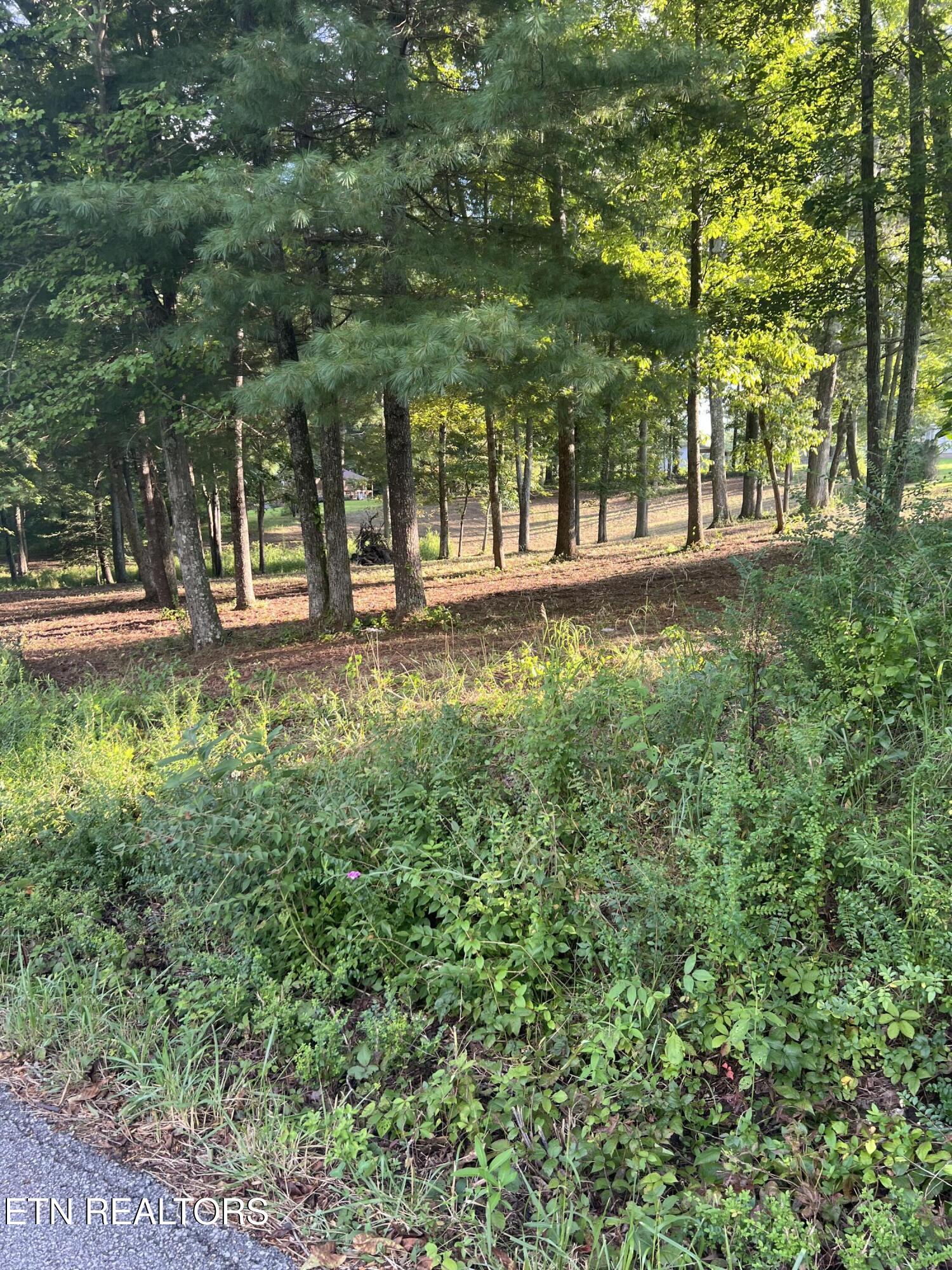Peter Pan Avenue Crossville TN 38572