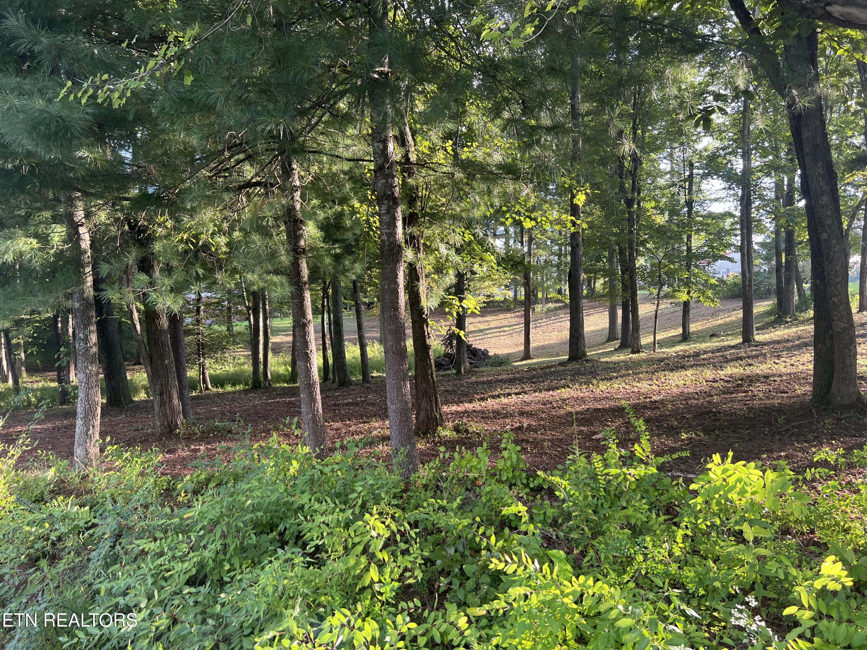 Peter Pan Avenue Crossville TN 38572
