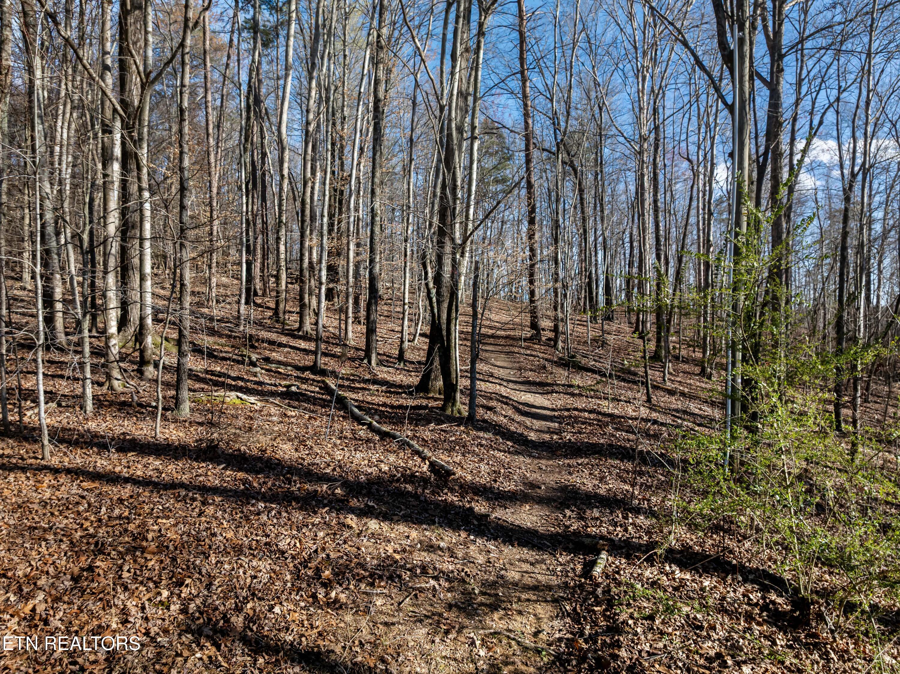 150 Clear Branch Road N Loudon TN 37774