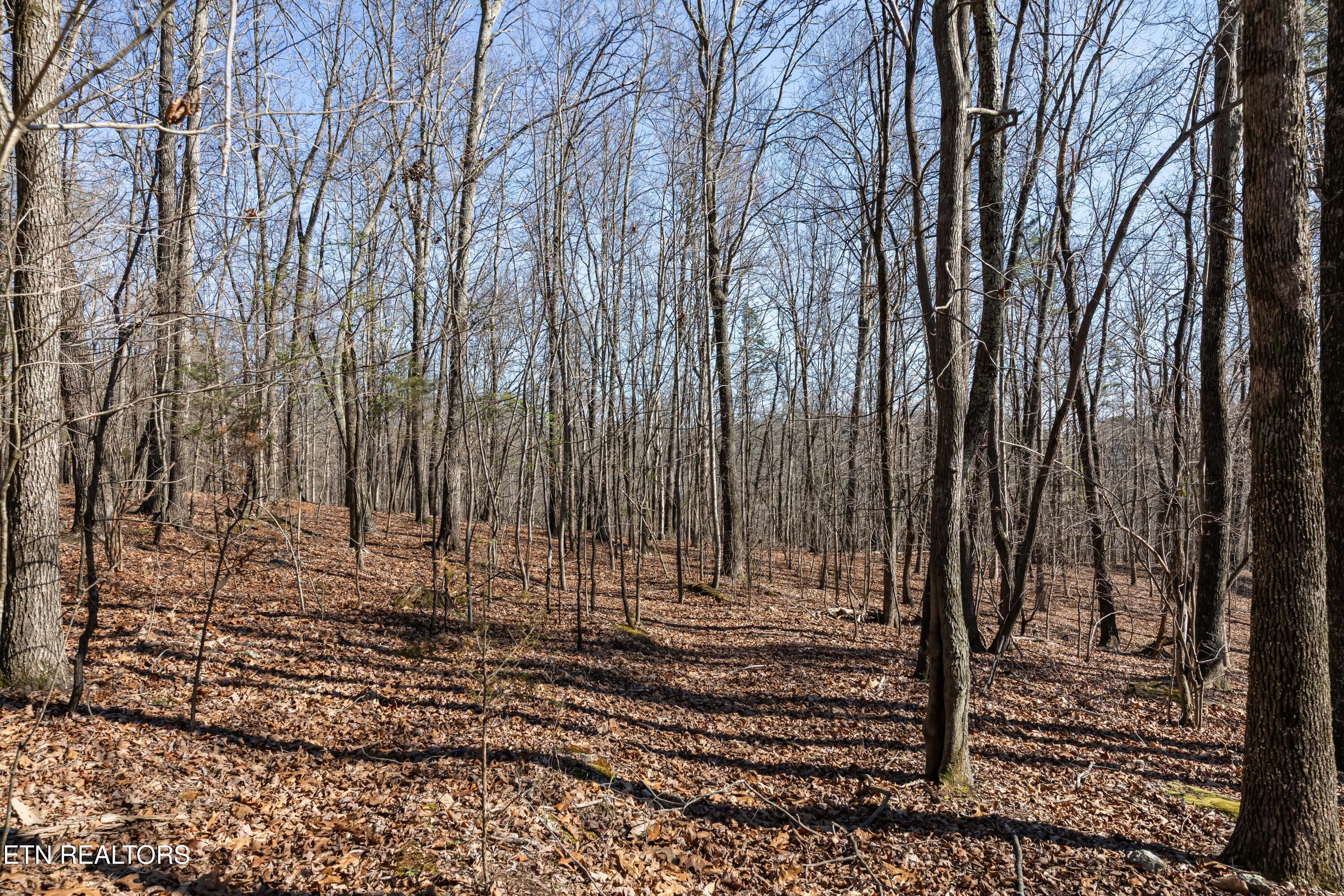 150 Clear Branch Road N Loudon TN 37774