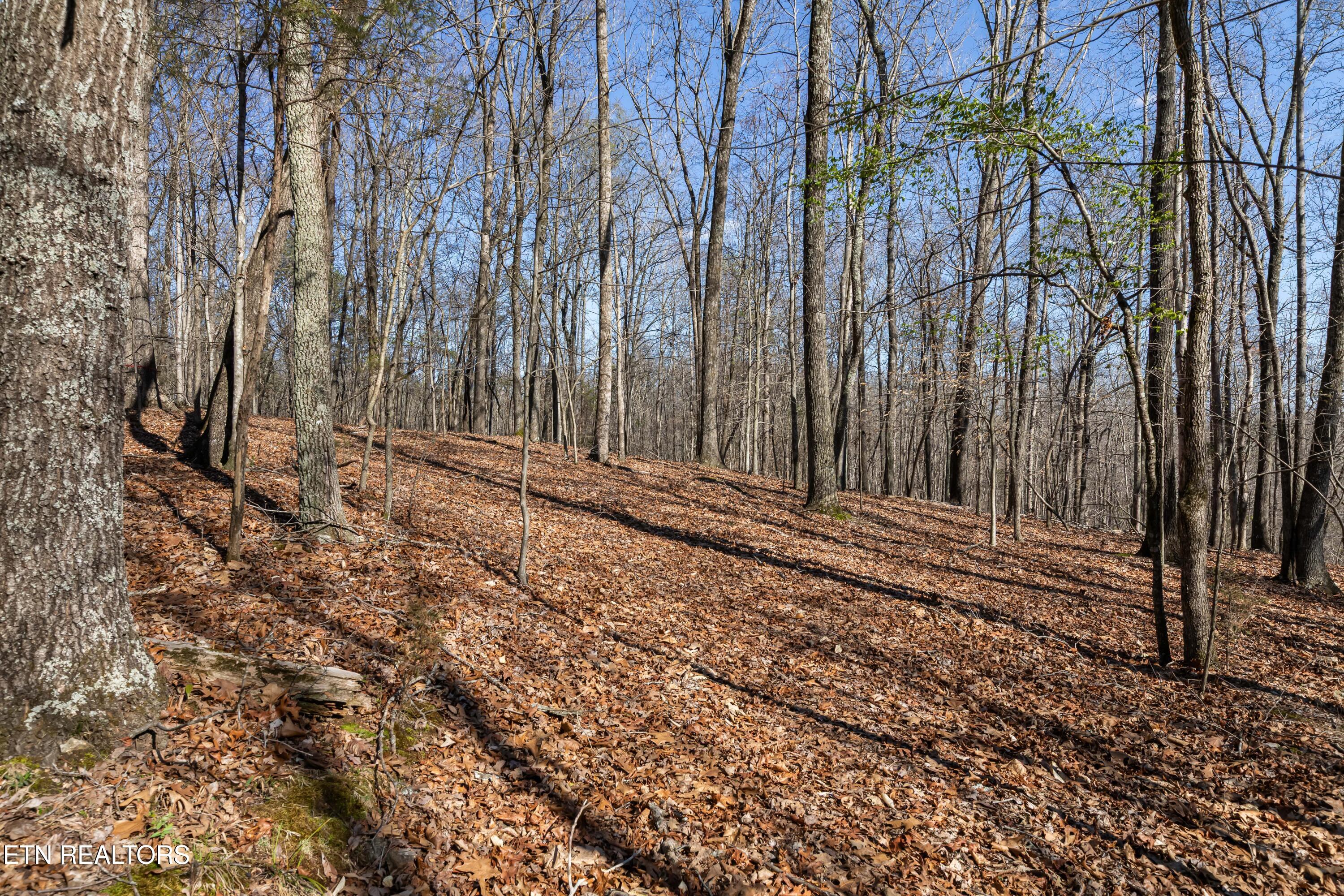 150 Clear Branch Road N Loudon TN 37774