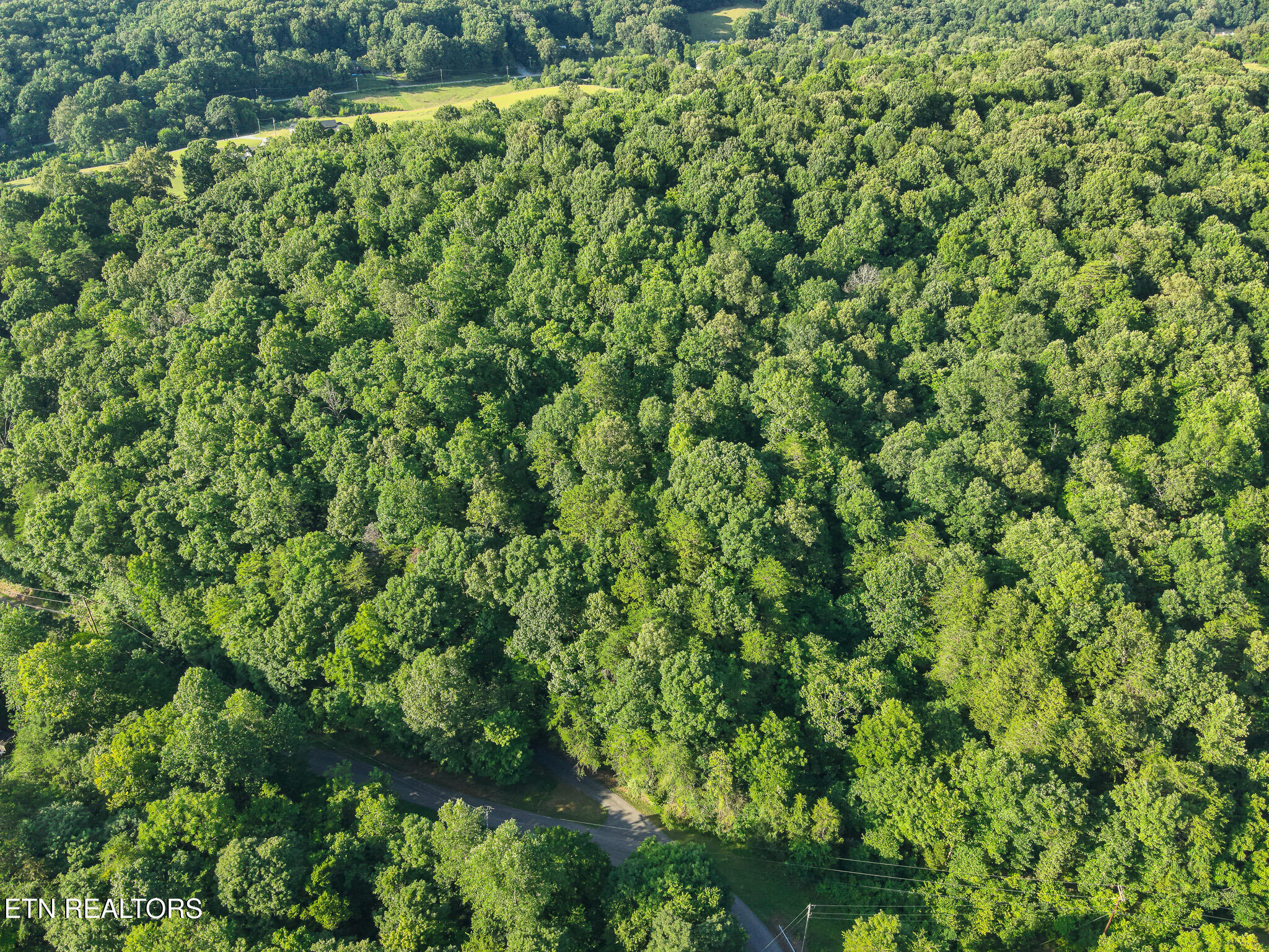 150 Clear Branch Road N Loudon TN 37774