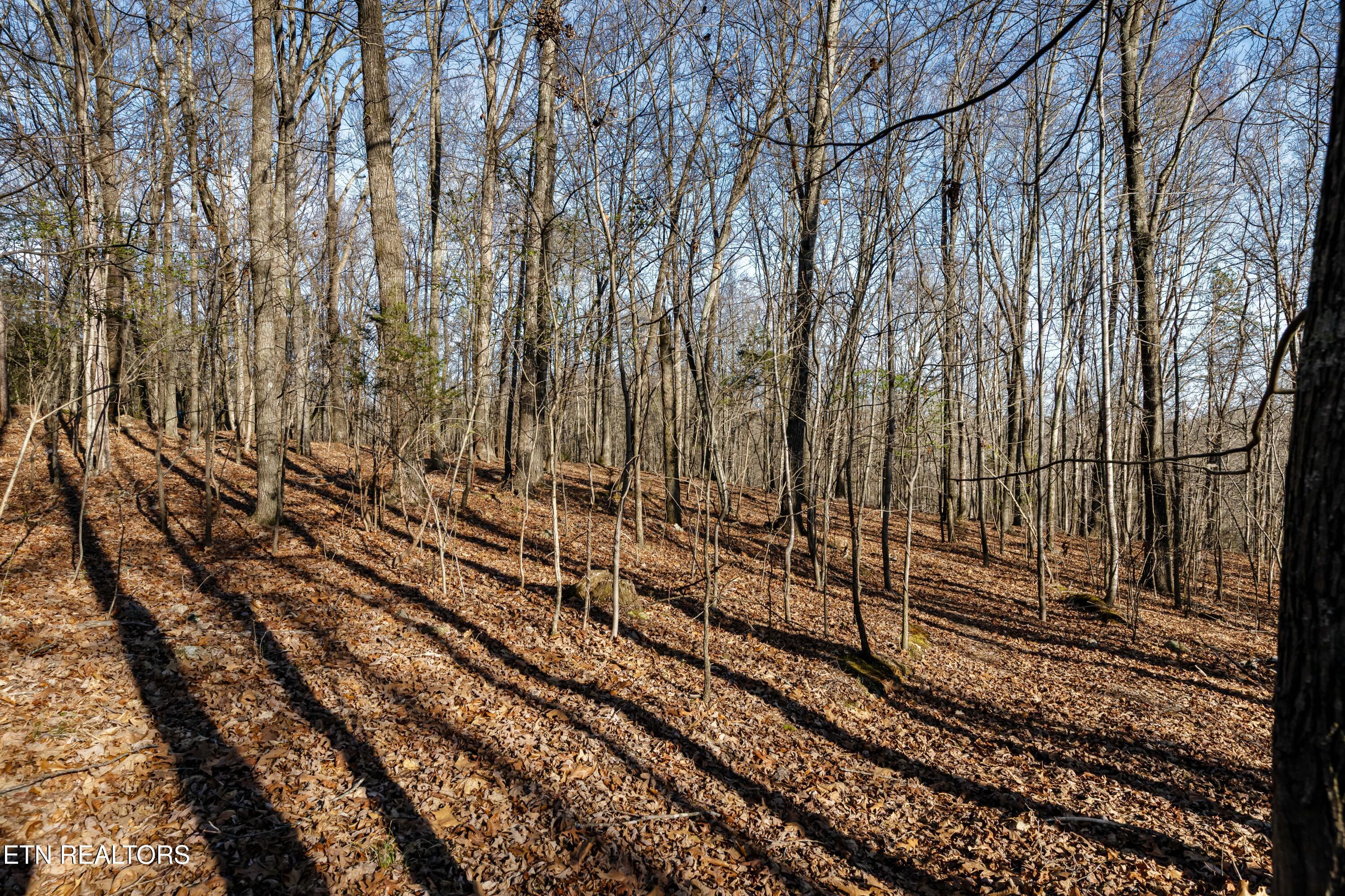 150 Clear Branch Road N Loudon TN 37774