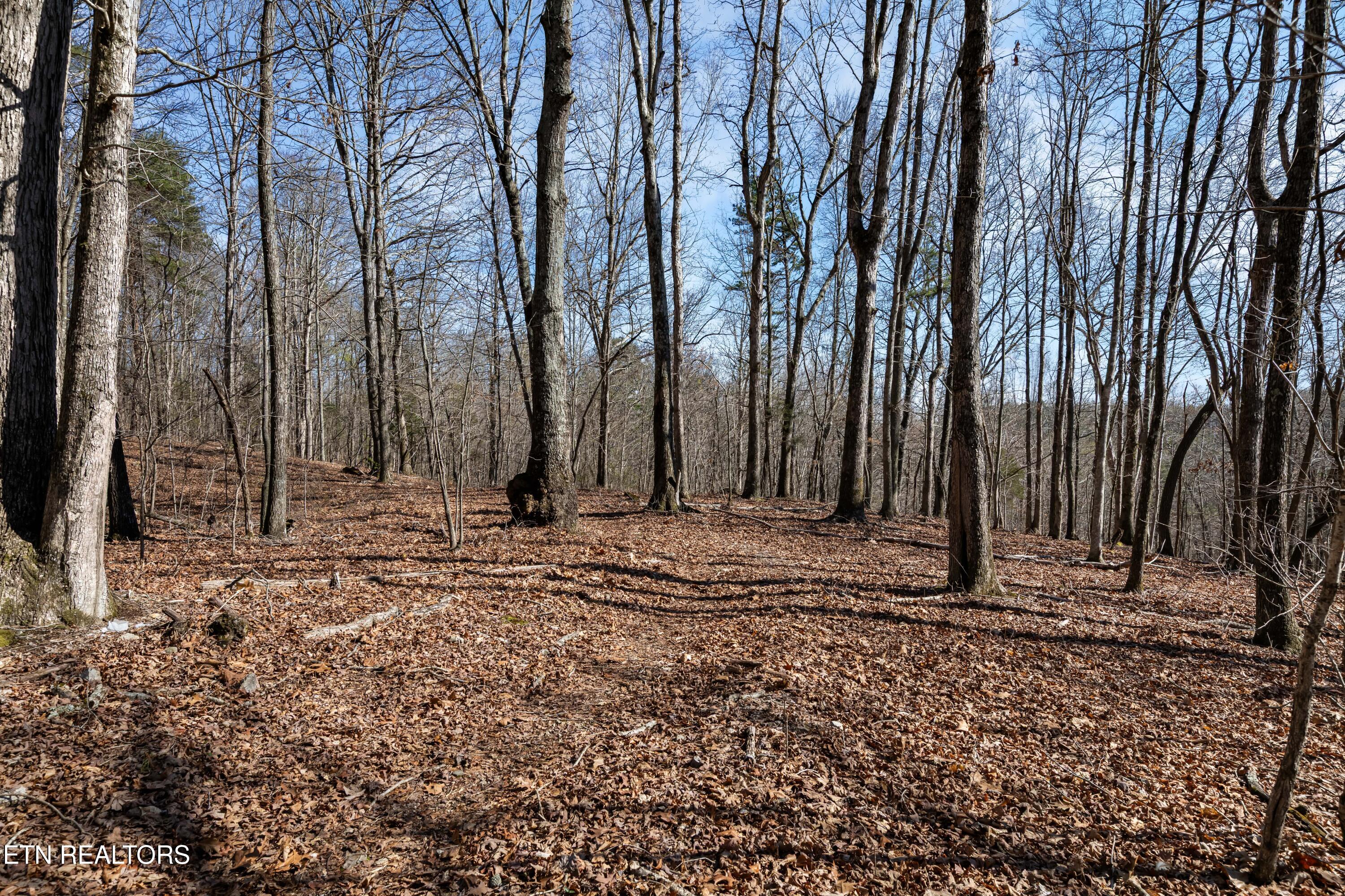 150 Clear Branch Road N Loudon TN 37774