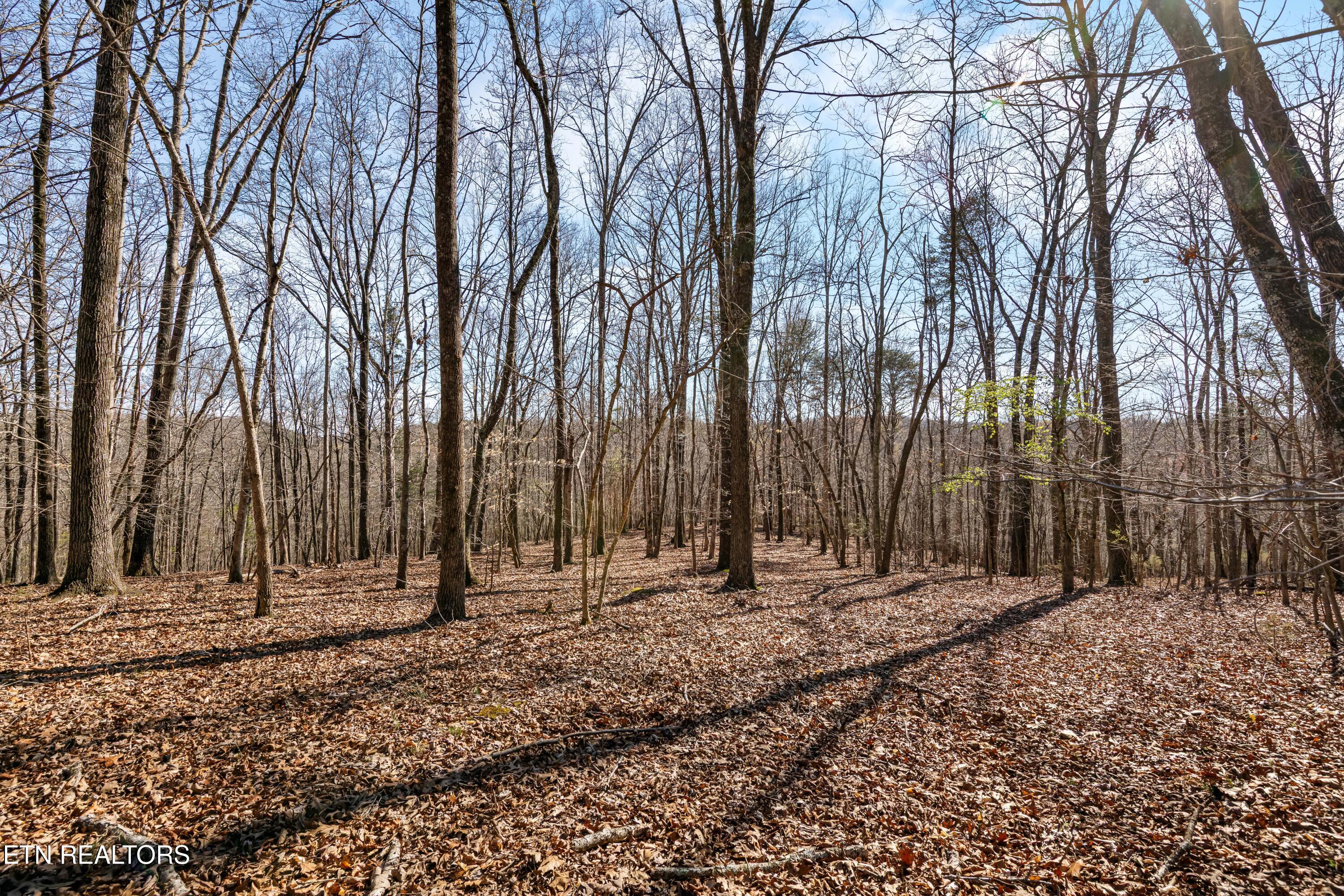 150 Clear Branch Road N Loudon TN 37774