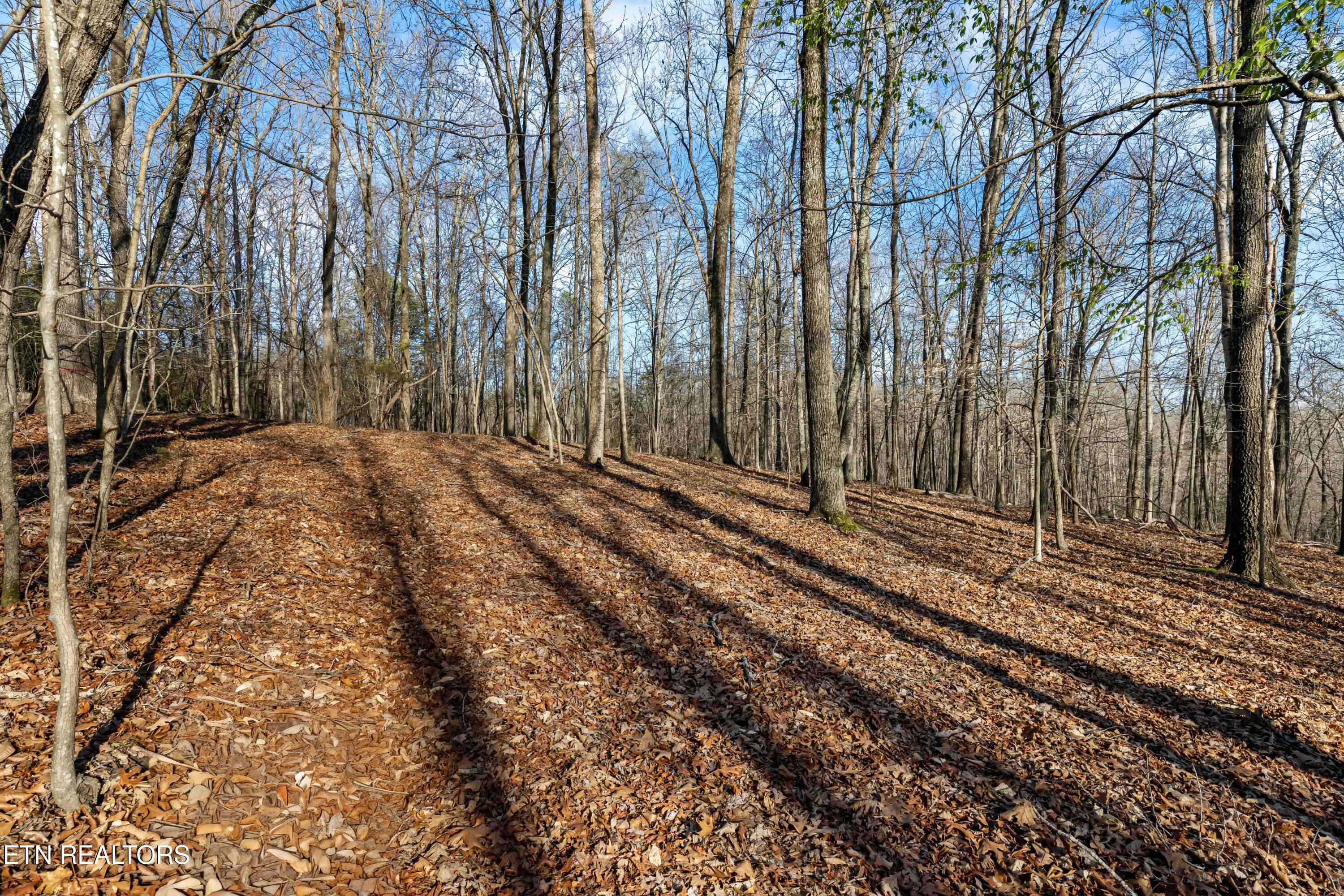 150 Clear Branch Road N Loudon TN 37774