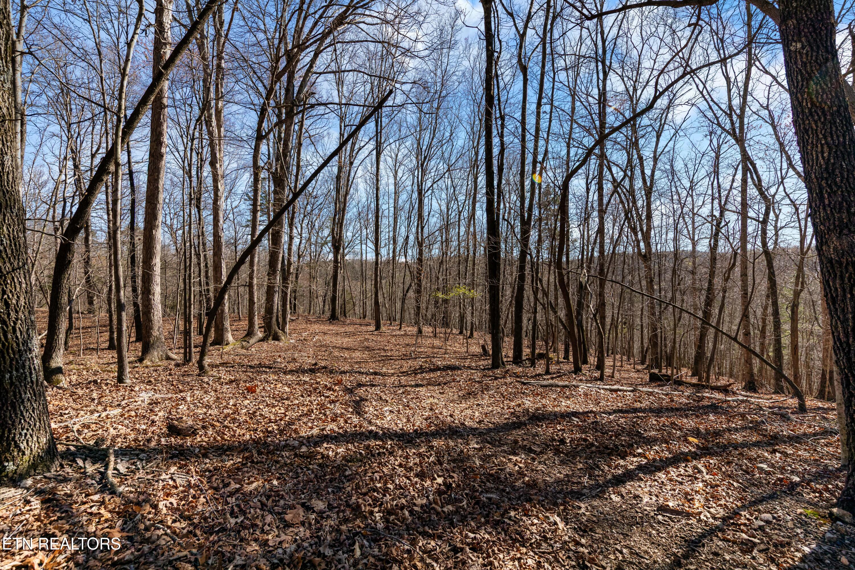 150 Clear Branch Road N Loudon TN 37774