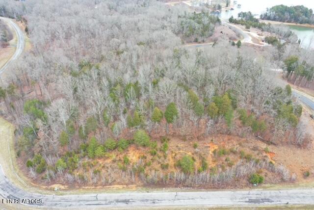 Ridge Top Drive Rockwood TN 37854