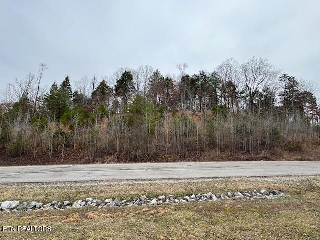 Ridge Top Drive Rockwood TN 37854
