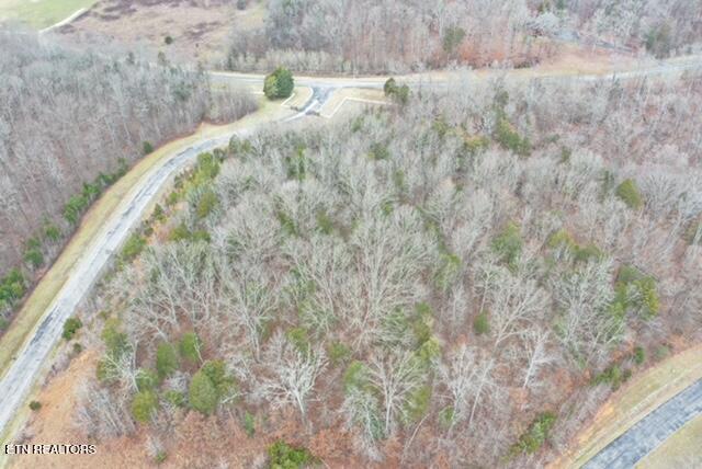 Ridge Top Drive Rockwood TN 37854
