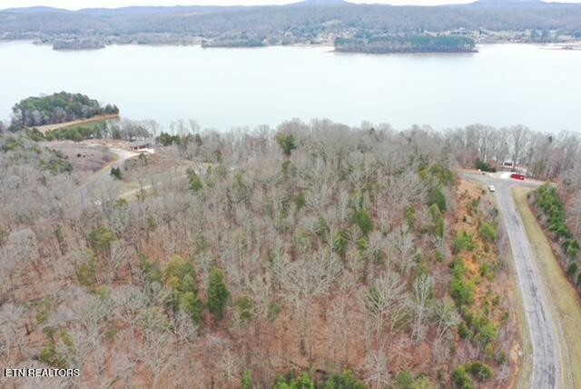 Ridge Top Drive Rockwood TN 37854