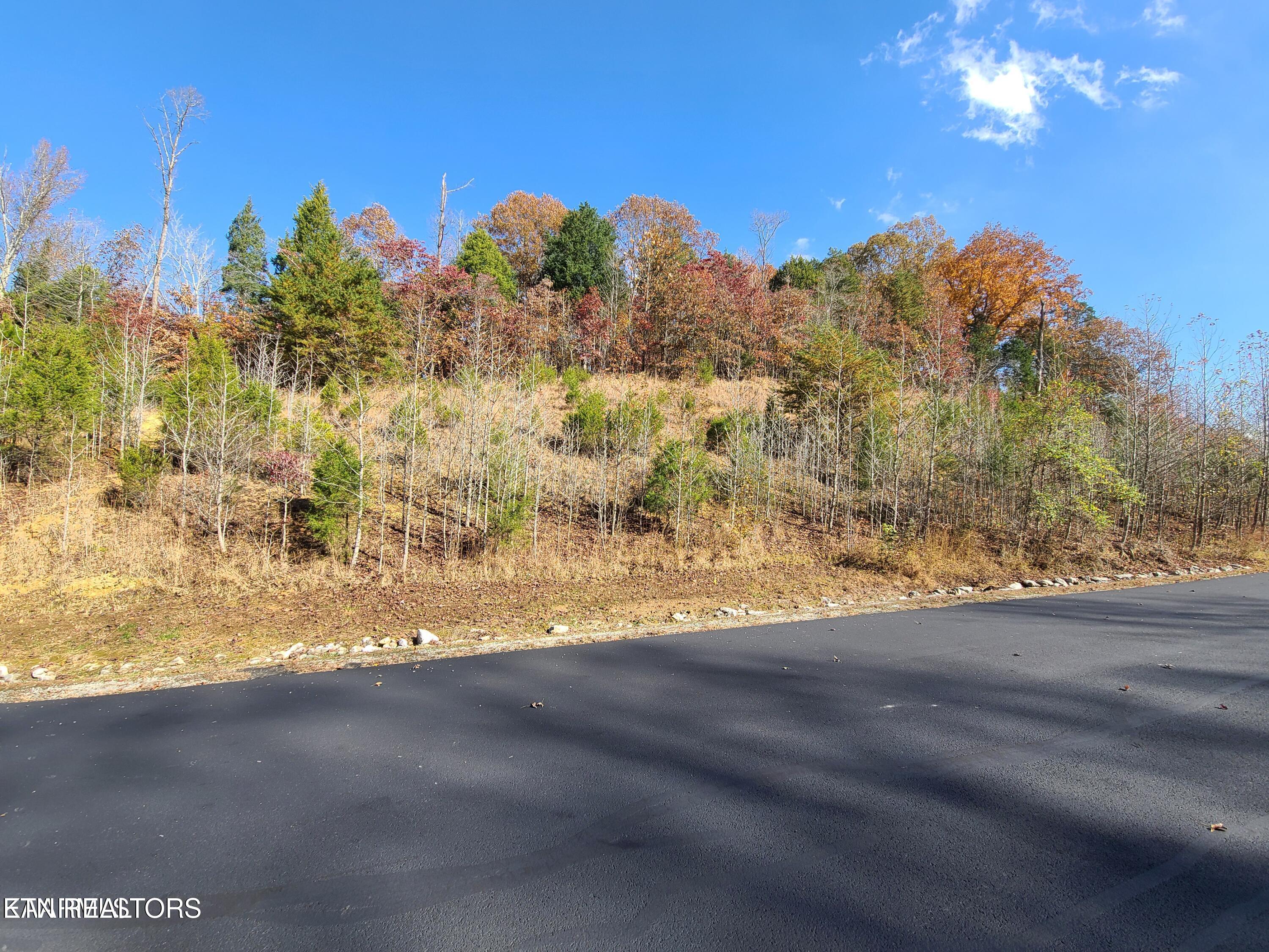 Ridge Top Drive Rockwood TN 37854