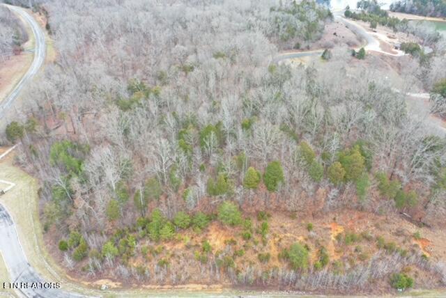Ridge Top Drive Rockwood TN 37854
