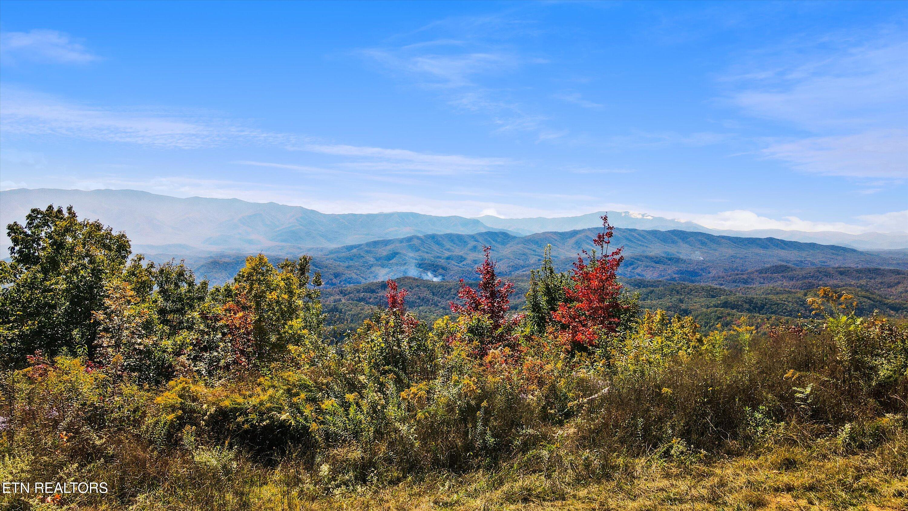 Tract 64 Wilhite Road Sevierville TN 37876