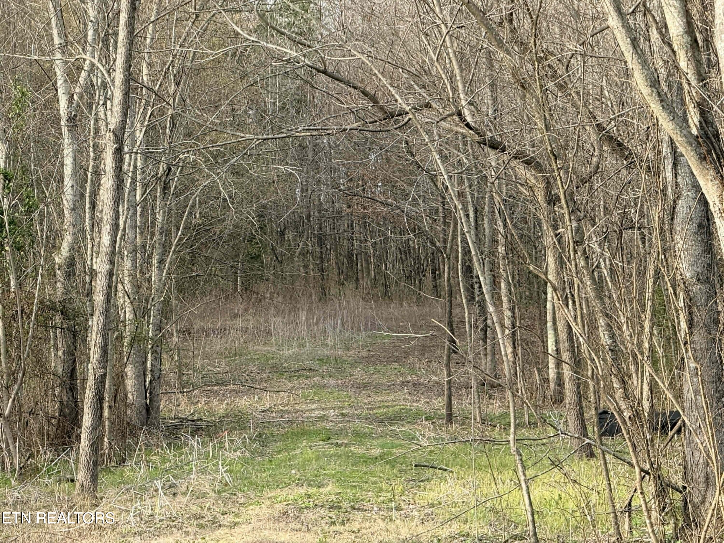 1115 Frank Campbell Road Jamestown TN 38556