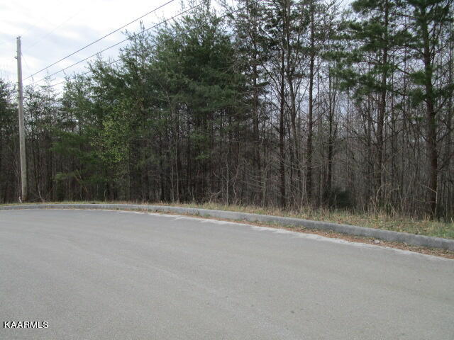 Deerridge Drive Rutledge TN 37861