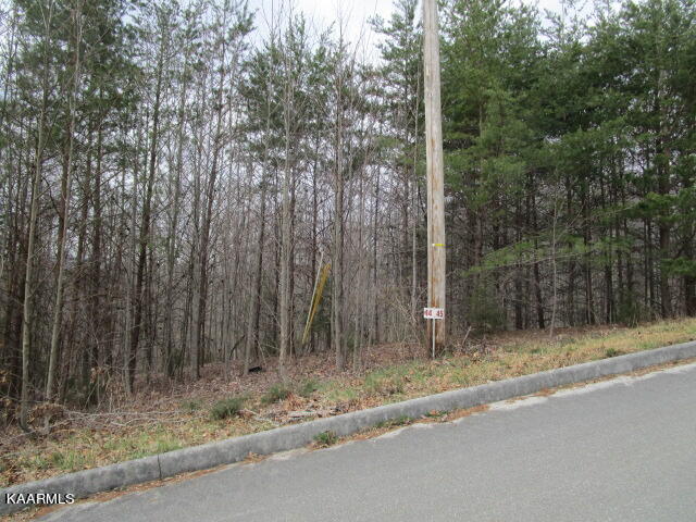 Deerridge Drive Rutledge TN 37861