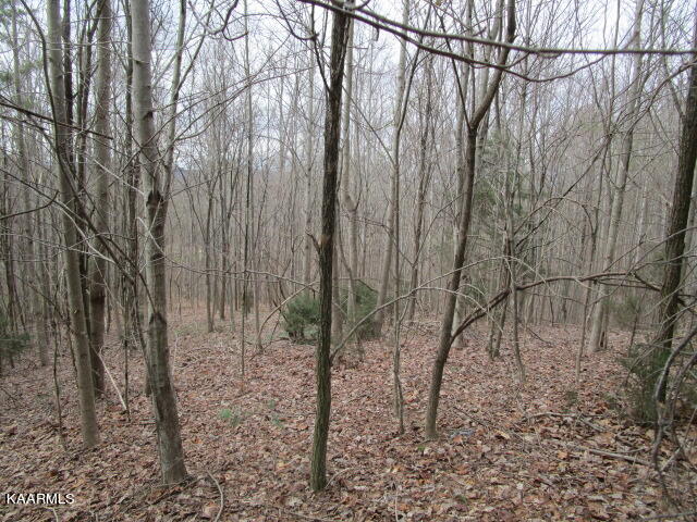 Deerridge Drive Rutledge TN 37861