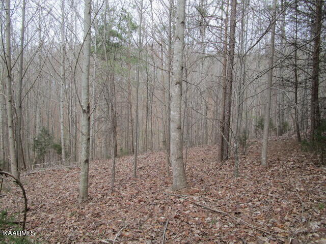 Deerridge Drive Rutledge TN 37861
