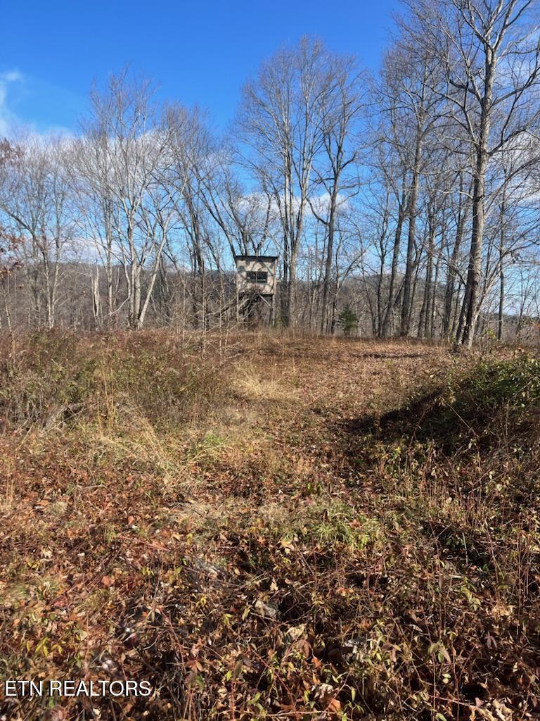 Howard Baker Highway Pioneer TN 37847