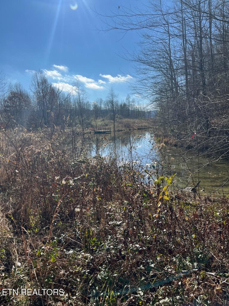 Howard Baker Highway Pioneer TN 37847