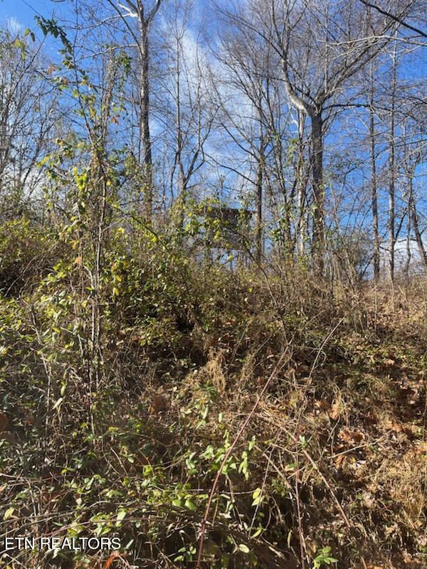 Howard Baker Highway Pioneer TN 37847