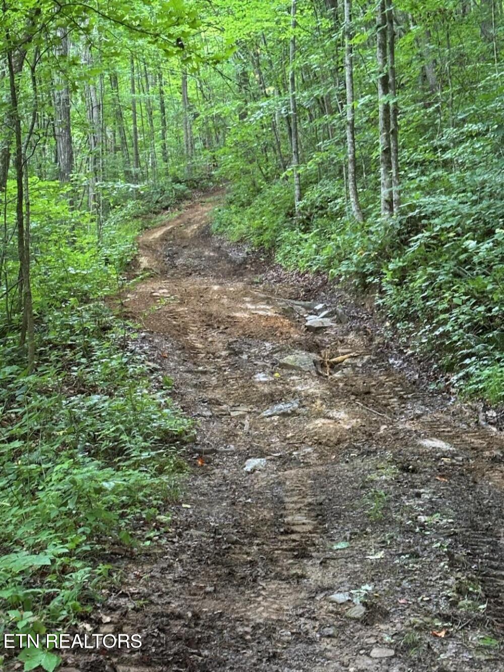 Howard Baker Highway Pioneer TN 37847