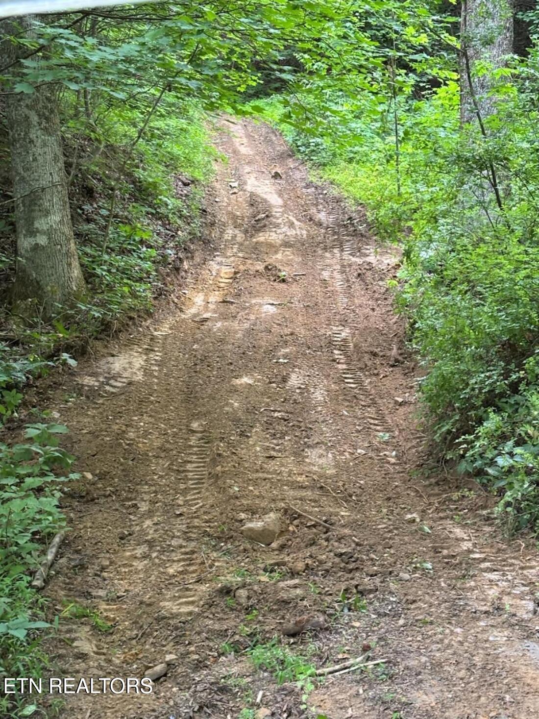 Howard Baker Highway Pioneer TN 37847