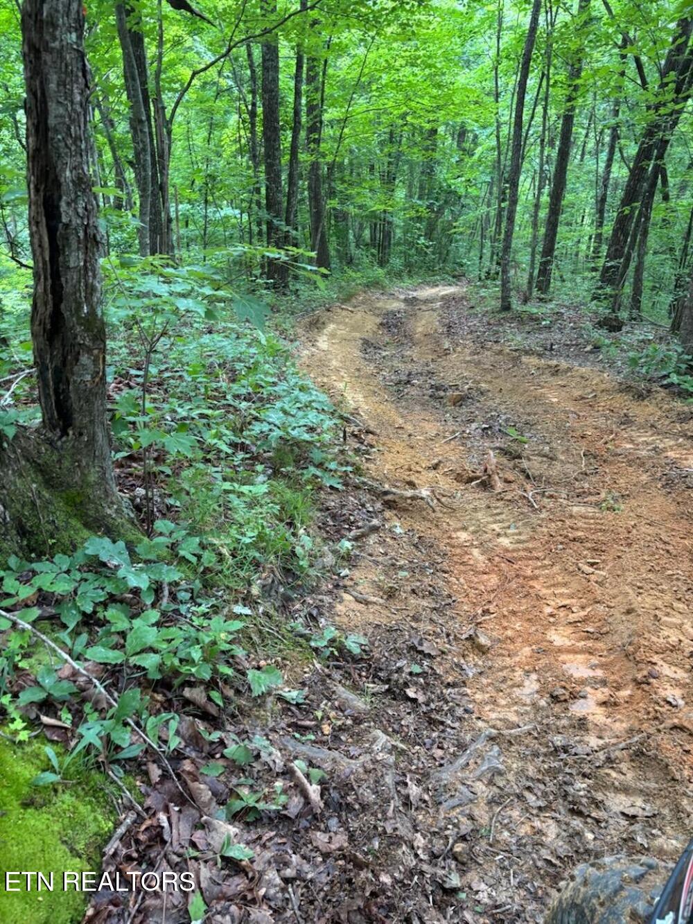Howard Baker Highway Pioneer TN 37847