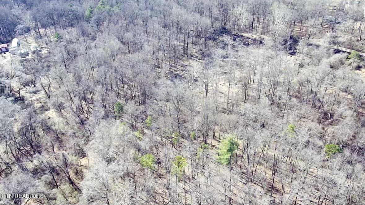 Clymersville Road Rockwood TN 37854