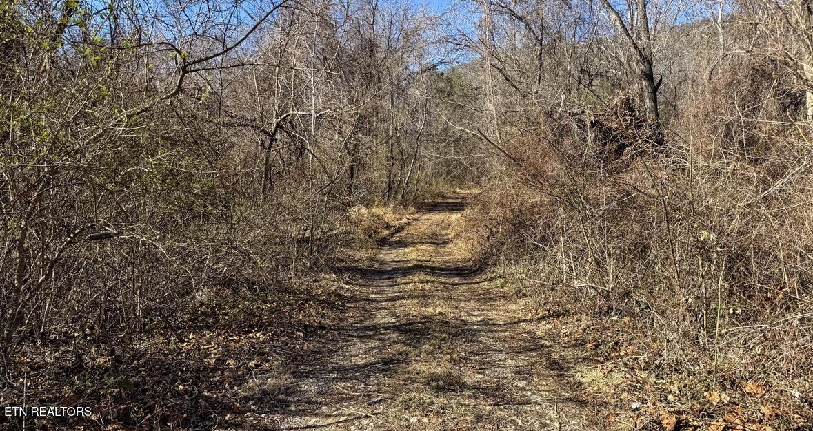 Clymersville Road Rockwood TN 37854