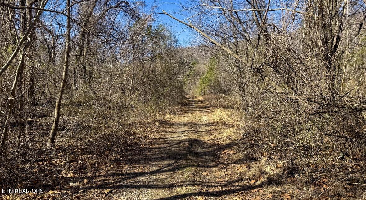 Clymersville Road Rockwood TN 37854