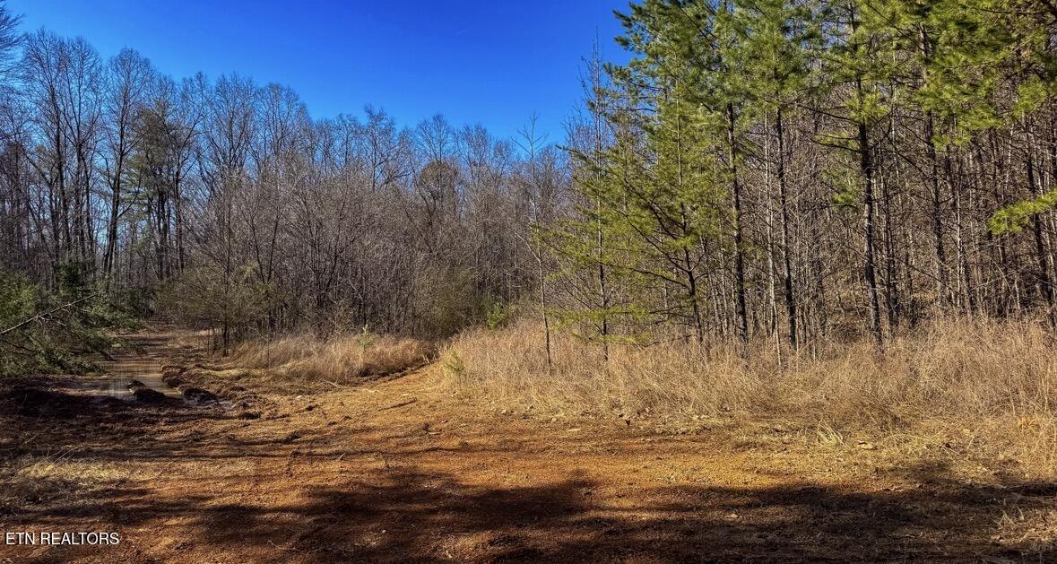 Clymersville Road Rockwood TN 37854