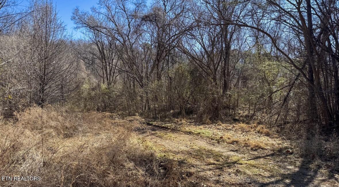 Clymersville Road Rockwood TN 37854
