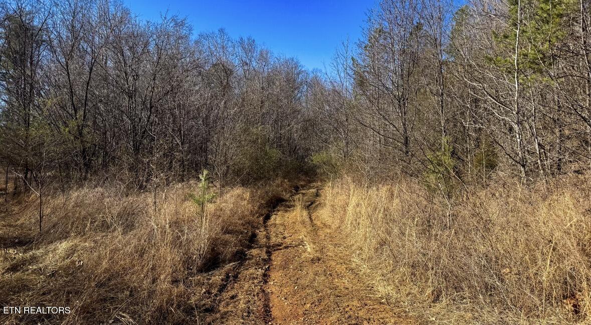 Clymersville Road Rockwood TN 37854