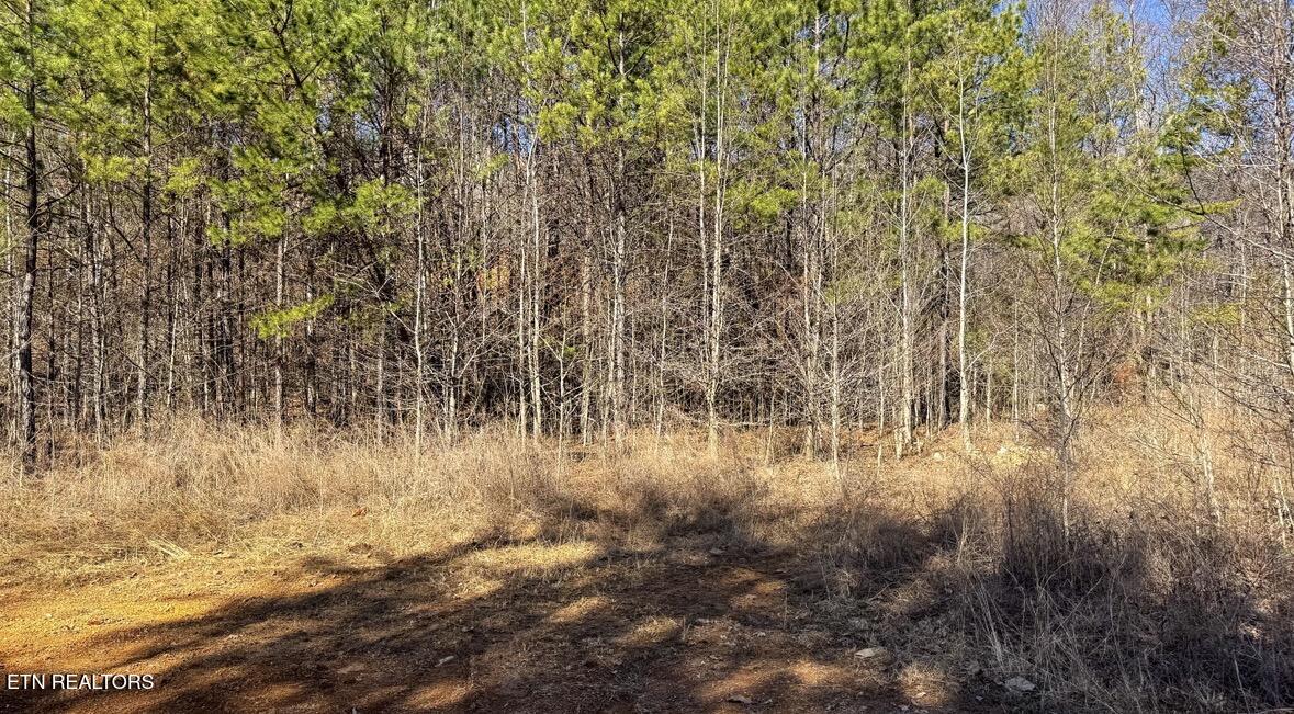 Clymersville Road Rockwood TN 37854