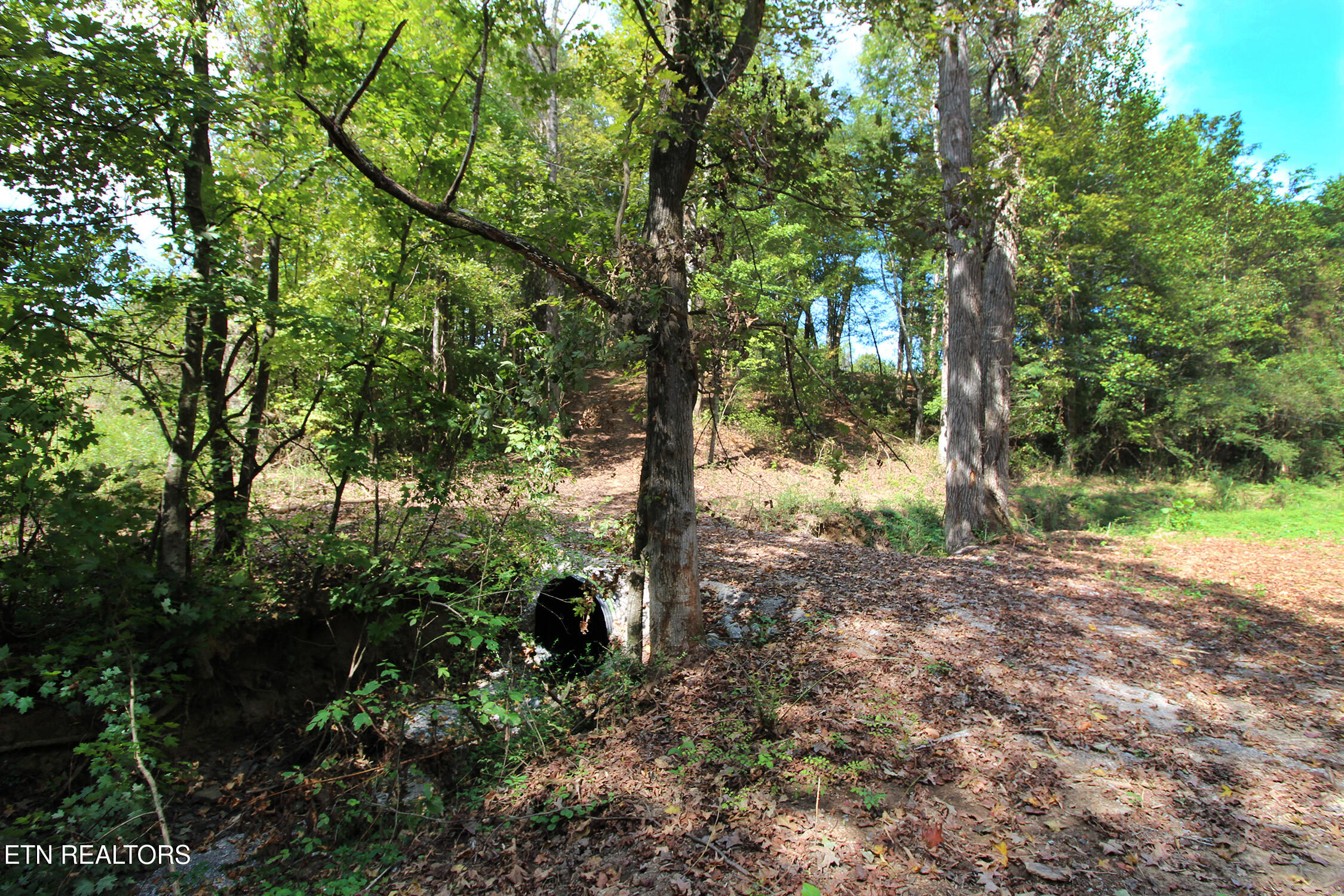 0 Cabbage Drive Knoxville TN 37938