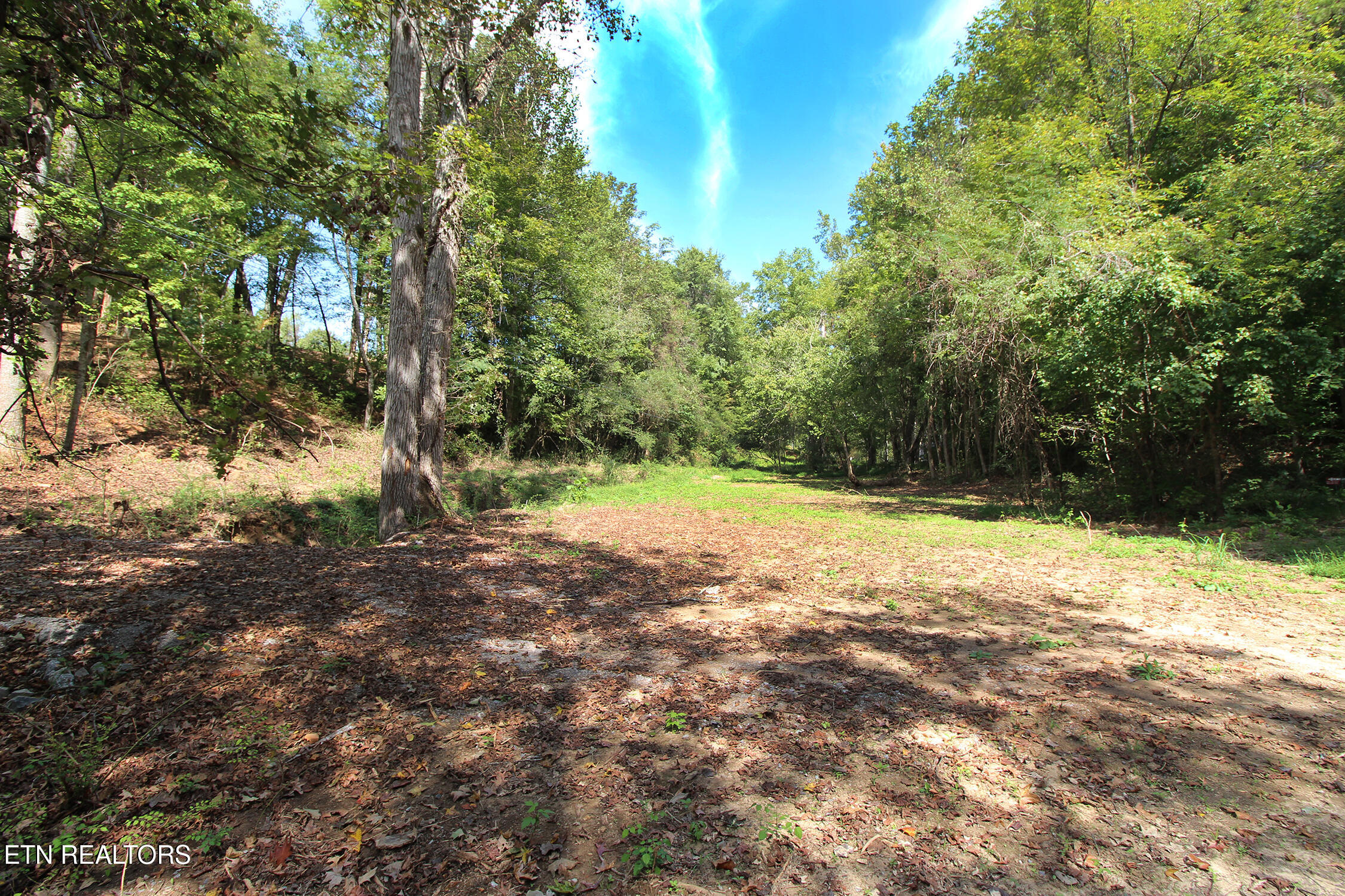 0 Cabbage Drive Knoxville TN 37938