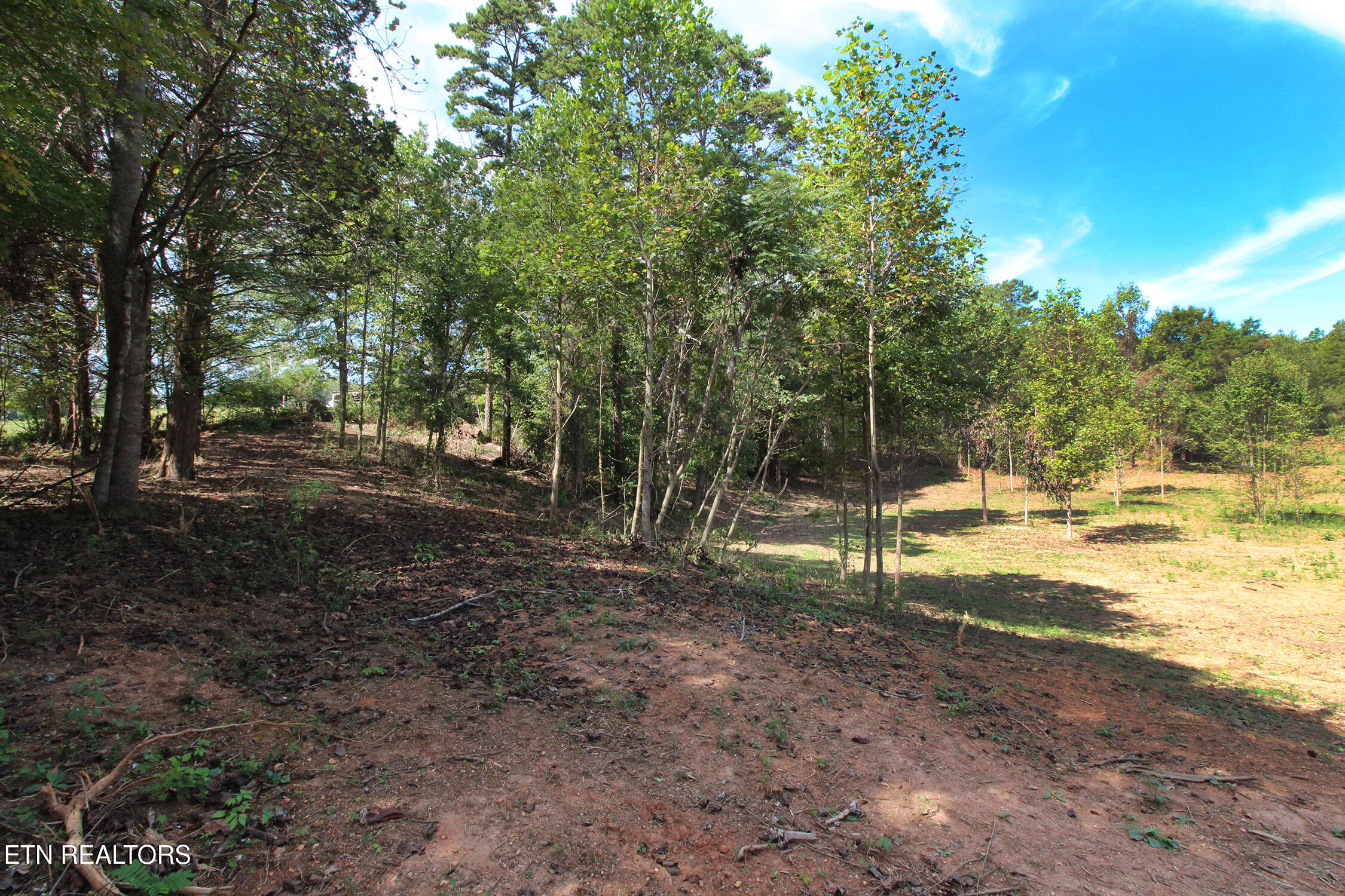 0 Cabbage Drive Knoxville TN 37938
