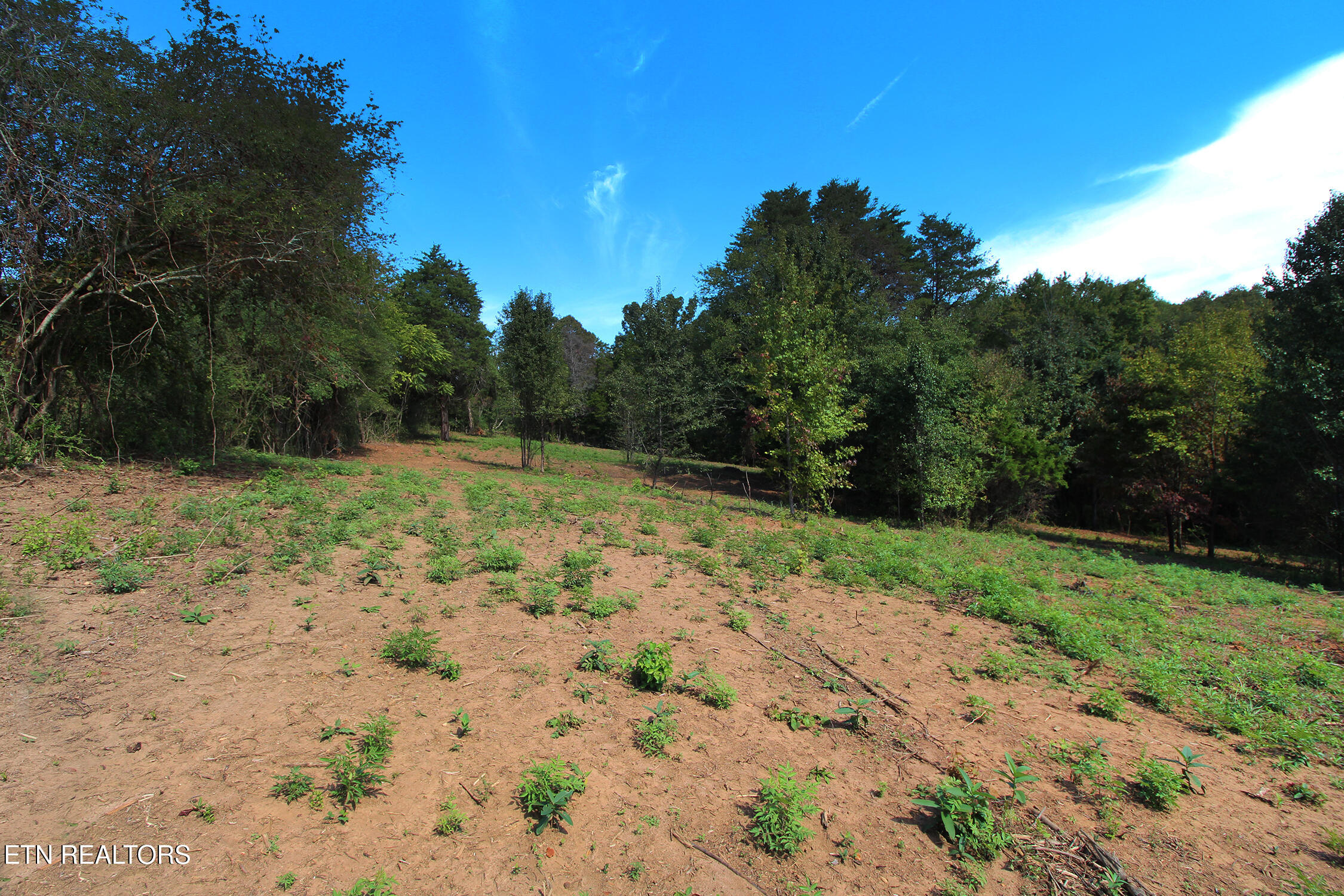 0 Cabbage Drive Knoxville TN 37938