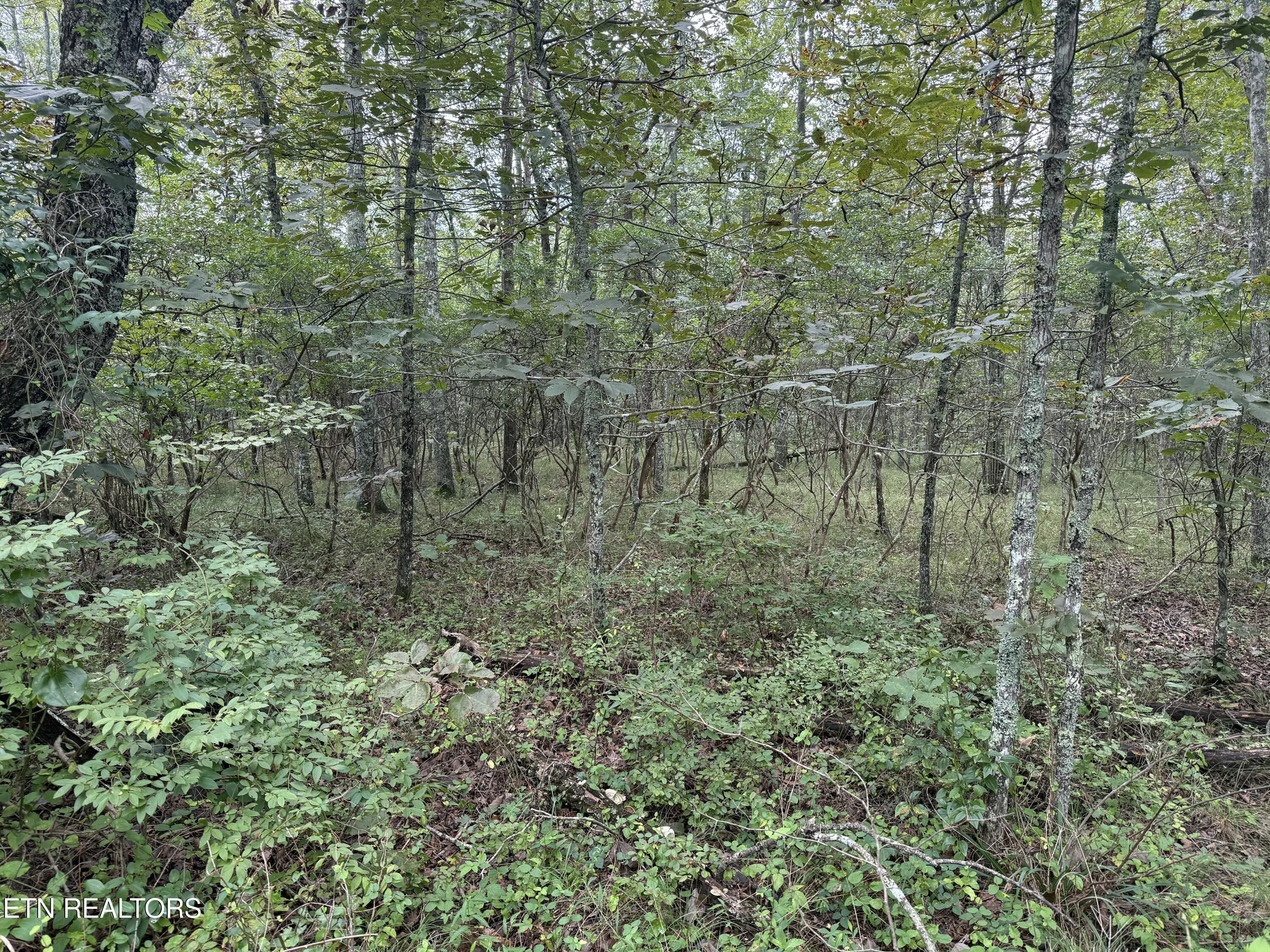 130 Blackburn Drive Crossville TN 38558