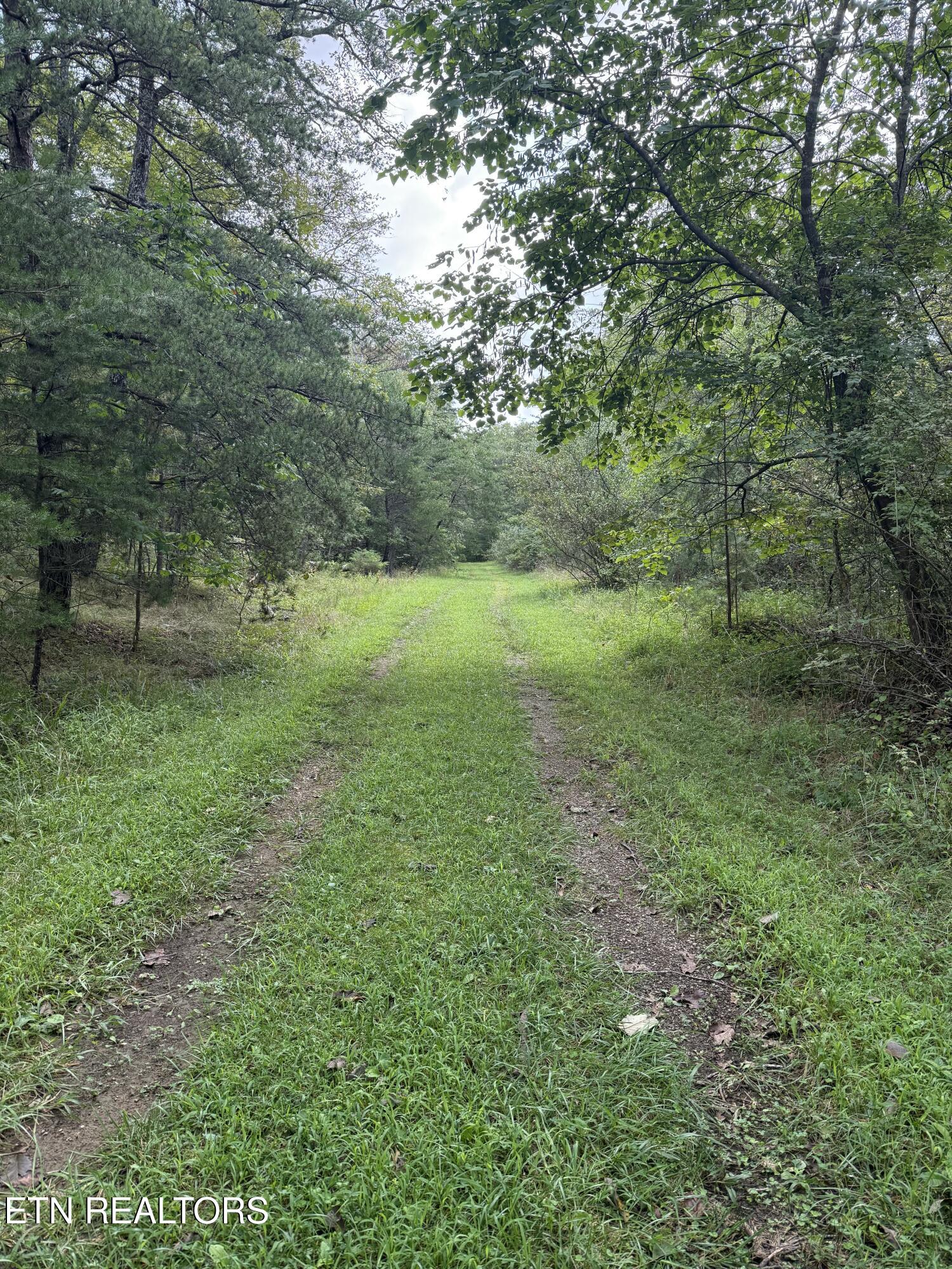 130 Blackburn Drive Crossville TN 38558