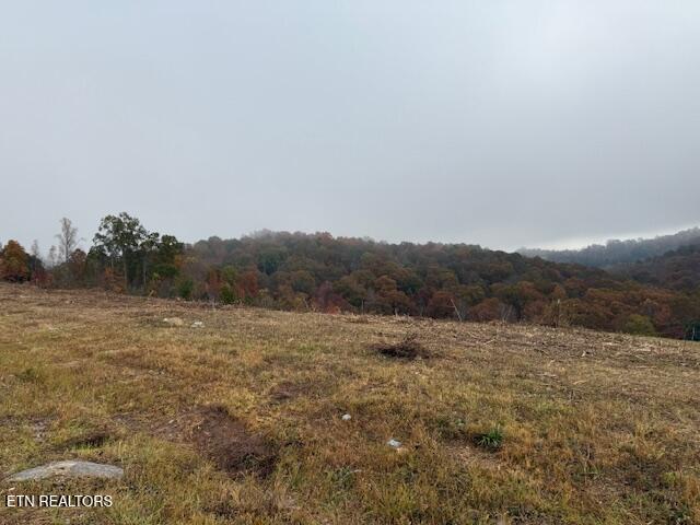 Pinnacle Lane Lafollette TN 37766