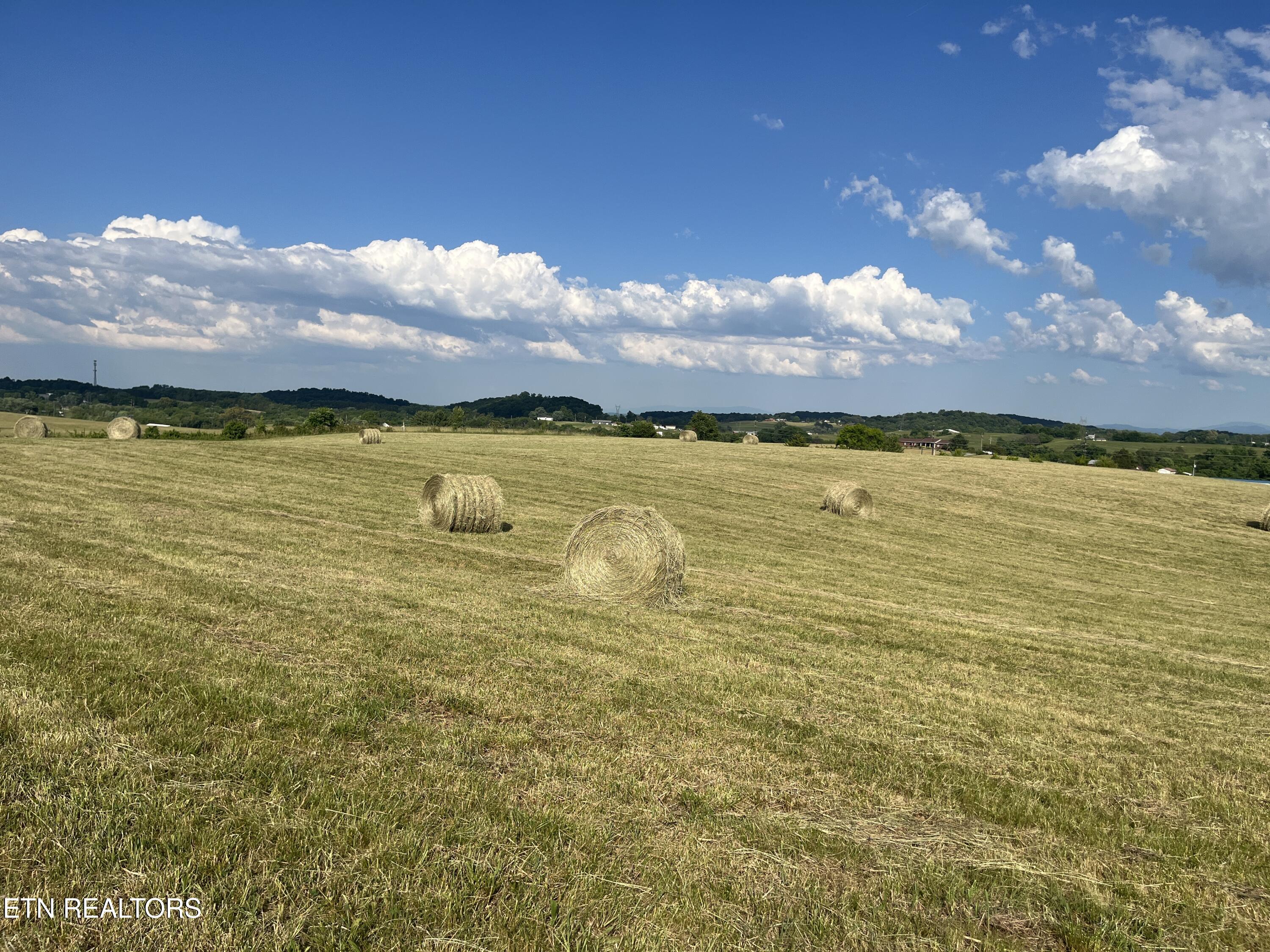 9.32 Acres Off Sam Martin Road Dandridge TN 37725