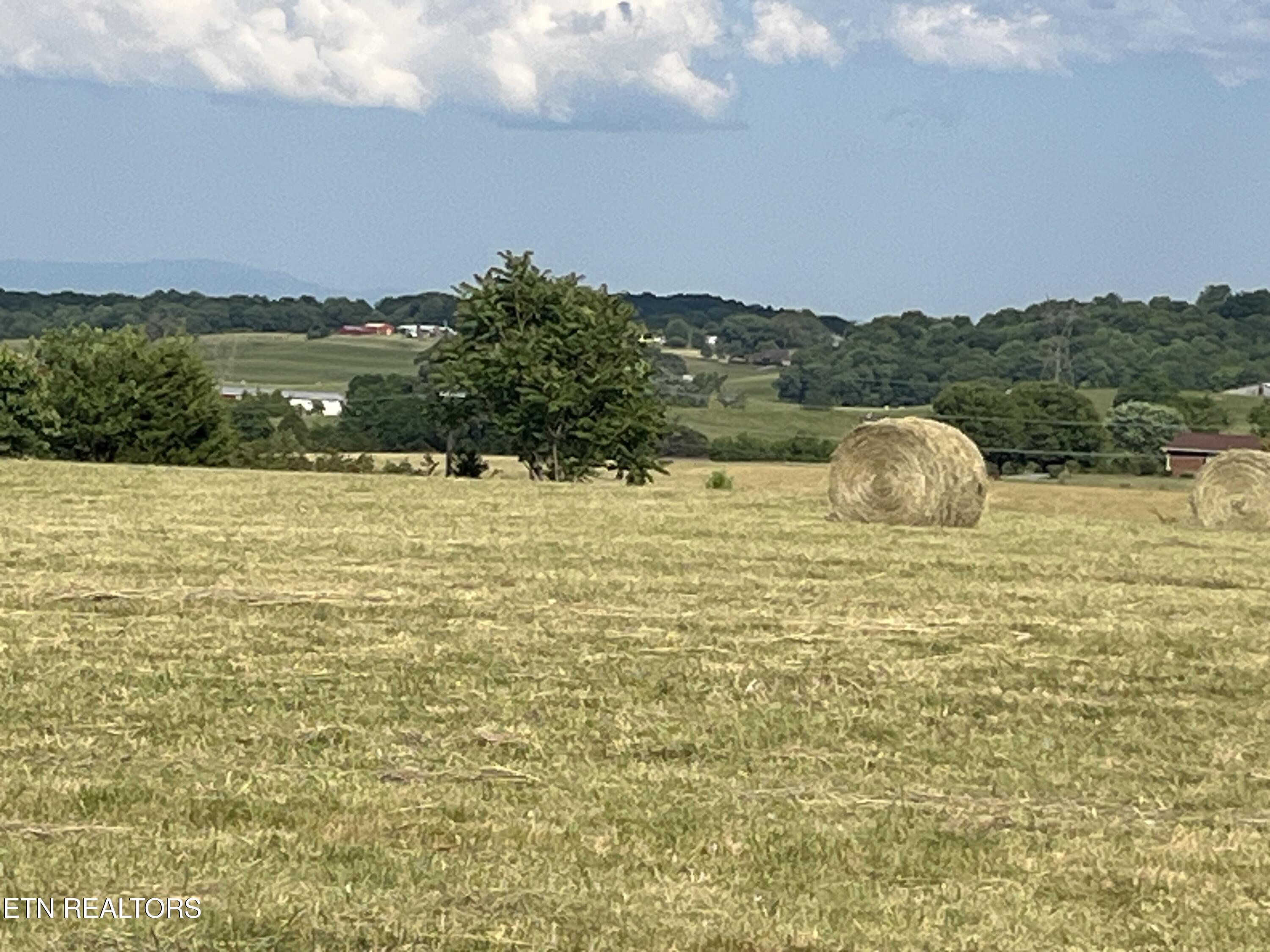 9.32 Acres Off Sam Martin Road Dandridge TN 37725