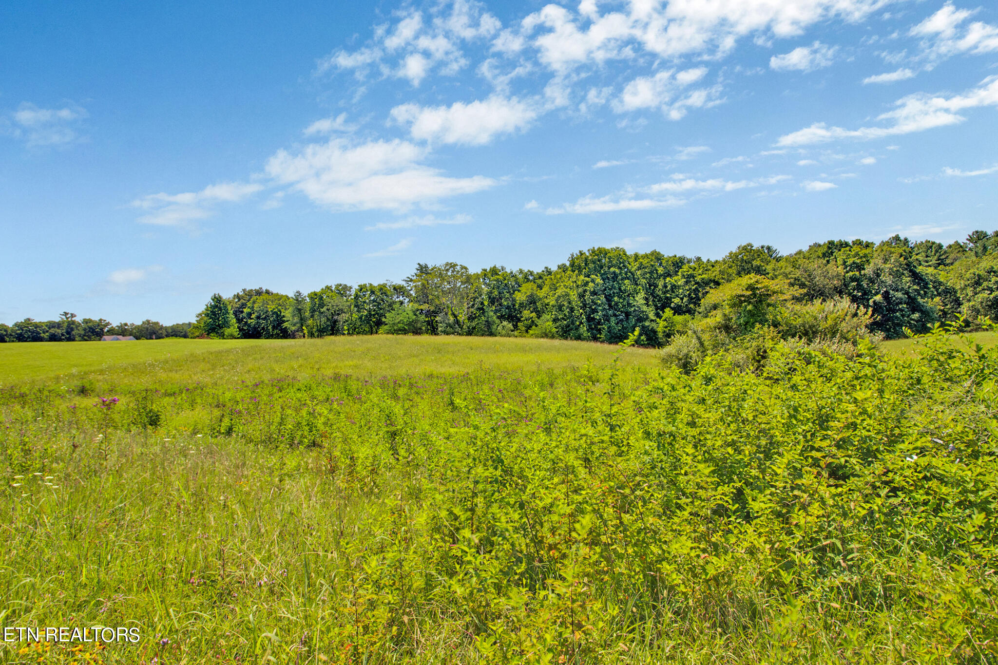 Lot 8 Estate Loop Trail Crossville TN 38555